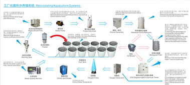 詳解工廠化循環(huán)水養(yǎng)殖系統(tǒng)與計算機(jī)系統(tǒng)服務(wù)的融合